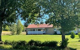 Loevasen